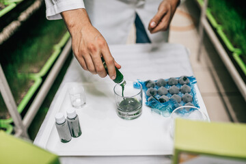 The worker works in a small plant of herbs and the production of green detox juices.