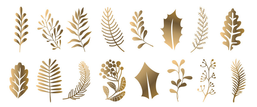 Christmas vector branches, tree, fir and pine cones, evergreen set, Christmas decorations, gold ​winter plants, leaves and twigs, isolated
