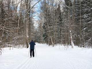 Person cross-country skiing at winter forest
