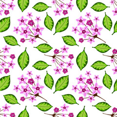Seamless pattern with hoya home flower. Botanical vector illustration. Floral design for textile, fabric and wallpaper.