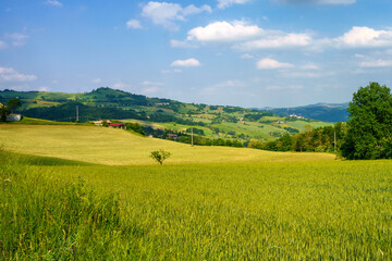 Rural landscape near Nibbiano, Emilia-Romagna, at May