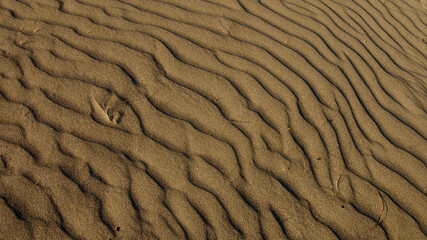 Spawning place of loggerhead turtles; Iztuzu beach. It is known for its blue crab and golden sands. Next to the Dalyan delta.