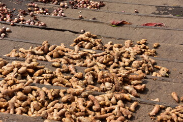 バングラデシュのダッカ。
川沿いで生姜を整理する男性。