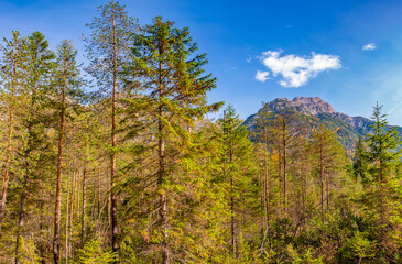 View of magical nature in Dolomites at the national park Three Peaks (Tre Cime, Drei Zinnen) during sunset and golden Autumn, South Tyrol, Italy.