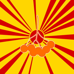 Rowan berry on a background of red flash explosion radial lines. The large orange symbol is located in the center of the sun, symbolizing the sunrise. Vector illustration on yellow background