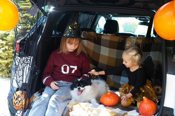 Two girls pet dog celebrating Halloween in car trunk. Autumn