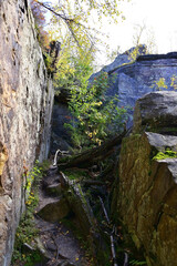 The Kamenny Gorod tract. Millions of years ago, the ancient river flowed into the Perm Sea. Sedimentary rocks at the mouth formed these rocks.