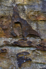 Surface of fine-crystalline quartz sandstone polished by weathering in the town of Kamenny Gorod