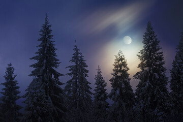 Moon night in winter forest