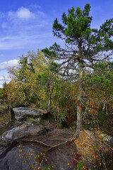 A sandstone plateau in the Kamenny Gorod tract is dissected by deep cracks