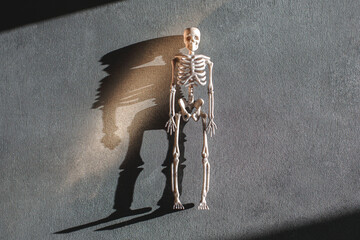 Toy skeleton over grey background, minimalistic Halloween concept