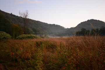 Early foggy morning in the mountains