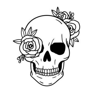 Skull with flowers, with roses. Human skull portrait with floral wreath. Vector illustration isolated on white background. Sugar skull floral print for Halloween.