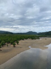 西表島 浦内川 ジャングル クルーズ 八重山諸島 沖縄県
