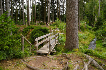 Fototapeta premium A bridge on hiking trail 