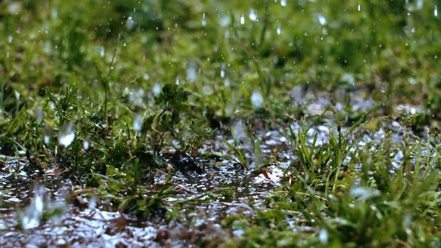  Heavy rain on grass