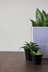 White book cover stock photography styled with plants.