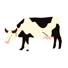 farm cow animal