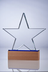 crystal trophy star shape on gray  background