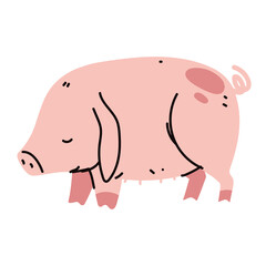 farm pig animal