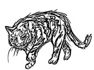 カッコいいモノクロの虎のイラスト　白黒の干支で使える素材　
