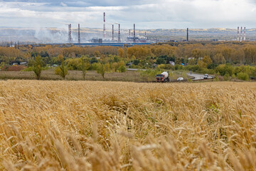 Autumn panorama. Fuming chimneys of a plant on the background of a field with ears of ripe wheat.