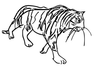 カッコいいモノクロの虎のイラスト　白黒の干支で使える素材　
