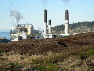 Paper pulp mill factory. Vancouver Island, British Columbia, BC, Canada.
