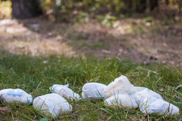 Diapers waste, dirty diapers in nature. Disposing of used baby nappies. Environmental Impact of...