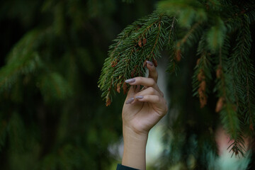Female hand touch branch