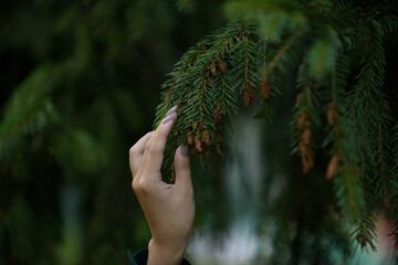 Female hand touch branch