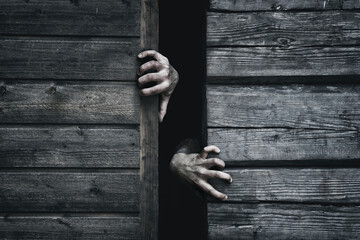 Zombie hands rising out from gap. Old wooden barn. Close up. Darkness horror and halloween background concept.
 - obrazy, fototapety, plakaty