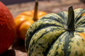 Ornamental pumpkins in green, yellow and red are in a wicker basket.