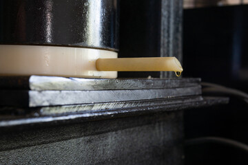 Oil spin press. Spout of barrel