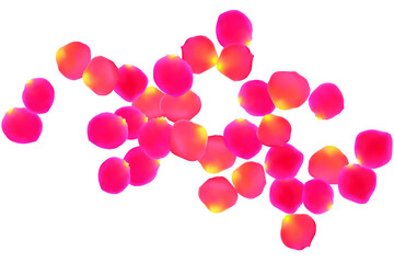 Coral color rose petals falling vector valentine background. Blowing showering flower bloom parts vector. Red pink rose petals spa background. Anniversary or natural cosmetics design.