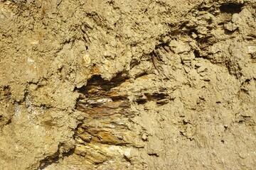 Rocky soil with irregular pits natural monochromatic earth tone background texture