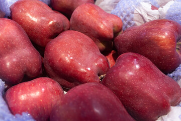 American Red delicious apple in supermarkets