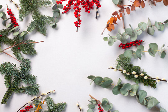 Green foliage, pine and eucalyptus and red berries on a white background, Christmas decorations.