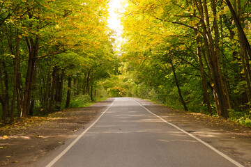 Landscape of automobile road through the autumn forest. Fall season scene.
