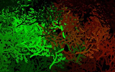 Dark Green, Red vector abstract pattern with trees, branches.