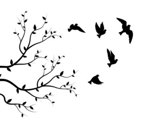 Fototapeta na wymiar Flying birds silhouettes and branch illustration isolated on white background, vector. Natural wall decals, wall art, artwork. Black and white minimalist poster design