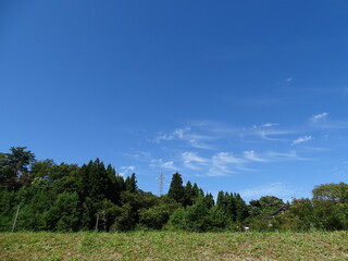 Fototapeta premium 青空と里山