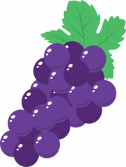 fresh grape fruit with leaf vector design