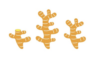 Ginger logo. Isolated ginger on white background