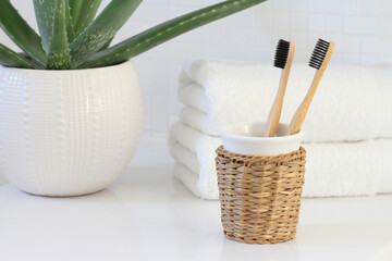 Two bamboo toothbrushes with black bristles in the bathroom whith aloe vera plant.