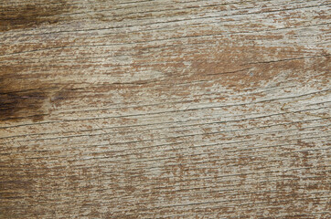 Fototapeta premium old wood texture background 