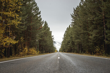 Empty asphalt road along an autumn forest with golden fall foliage, stretching into the distance to the misty mountains