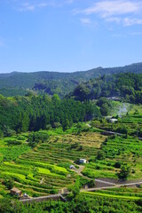 日本人が心和やかに見れる風景