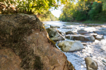 Stein am Wasser 