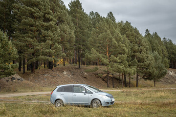 Obraz na płótnie Canvas Car next to a quiet coniferous forest. Concept of travel, beautiful nature and autumn mood